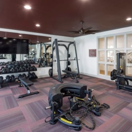 fitness center with open spaces and bright lighting through the windows